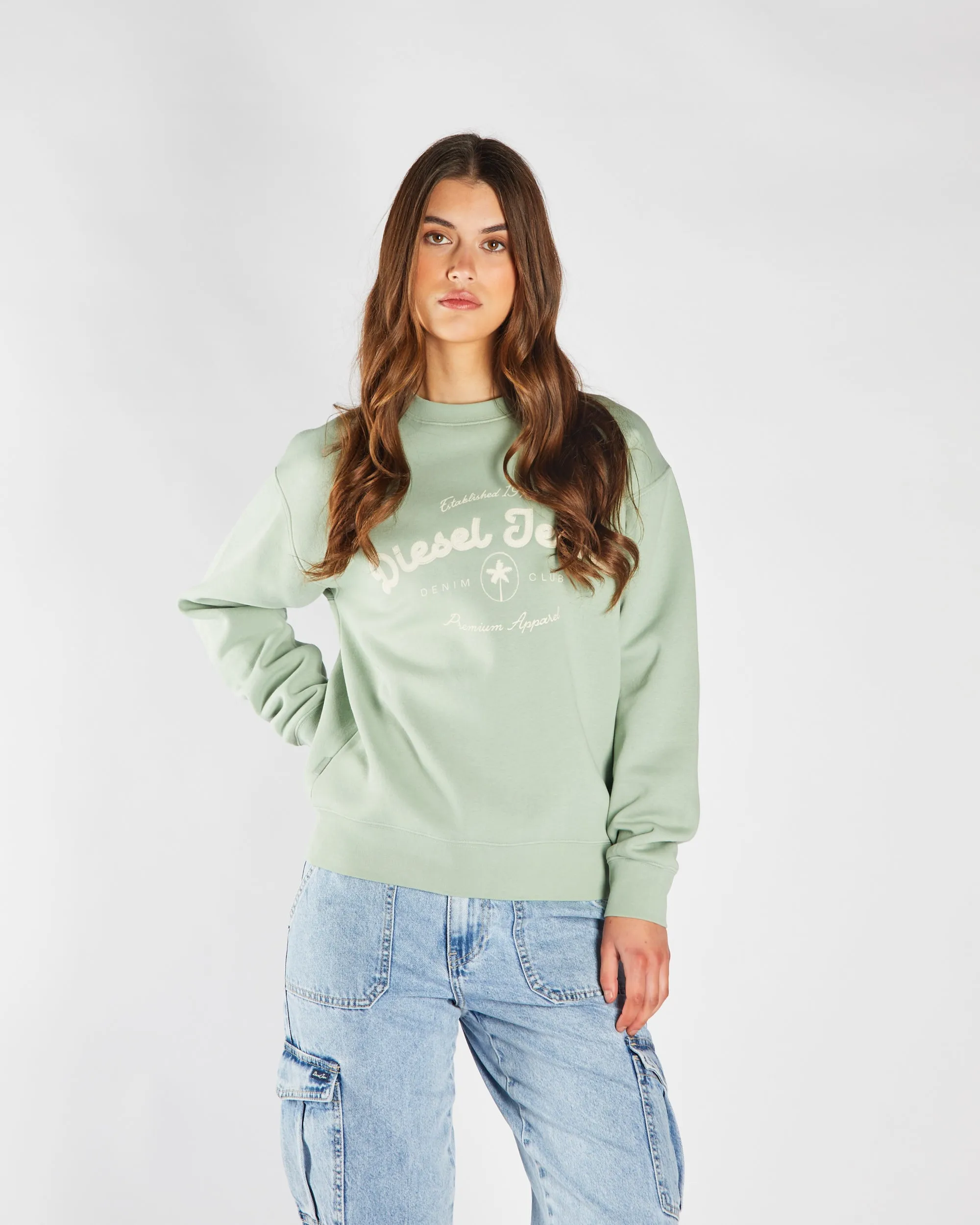 Flossy Sweatshirt Iceberg Green product after sales service product low end affordability
