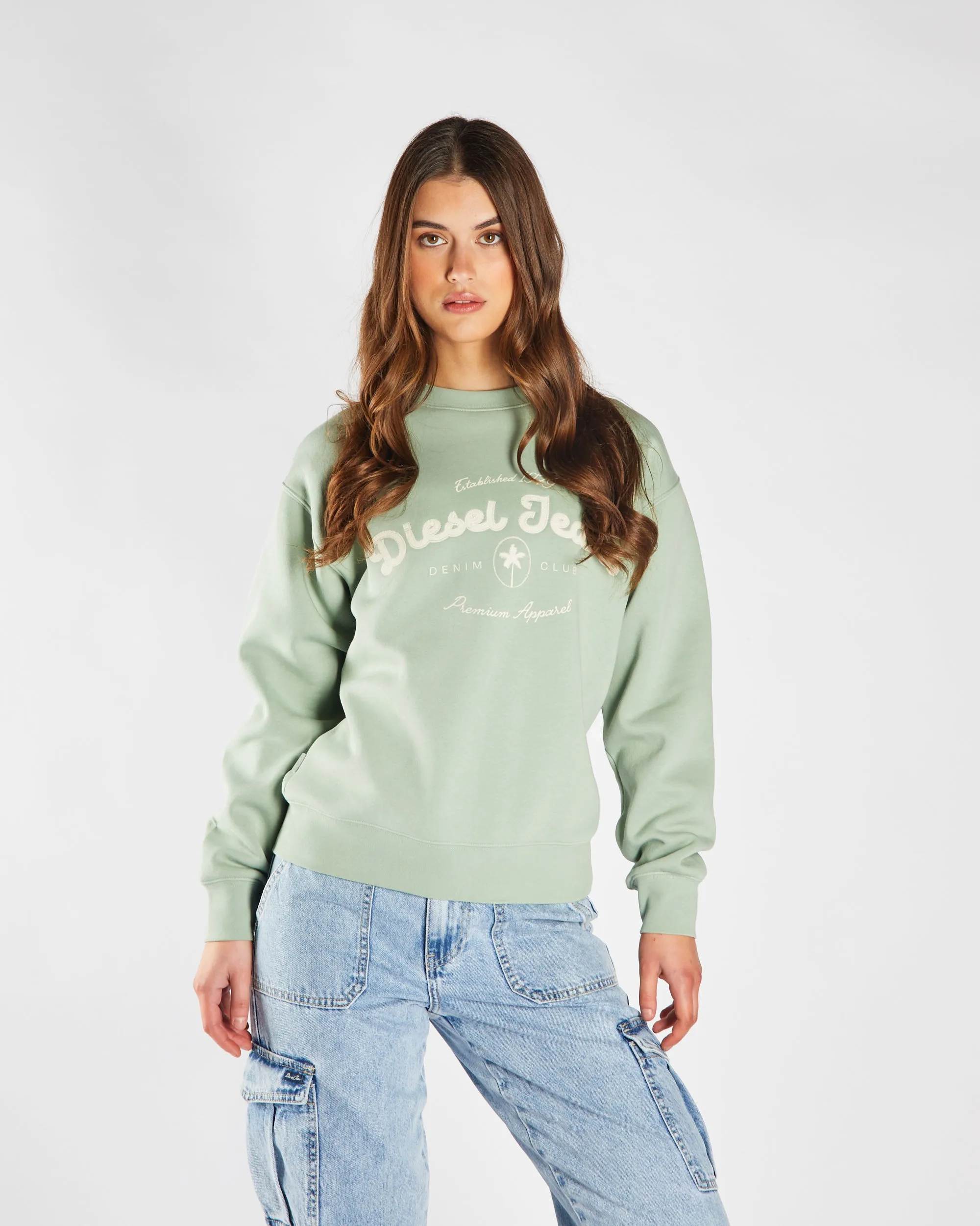 Cozy Gear Flossy Sweatshirt Iceberg Green