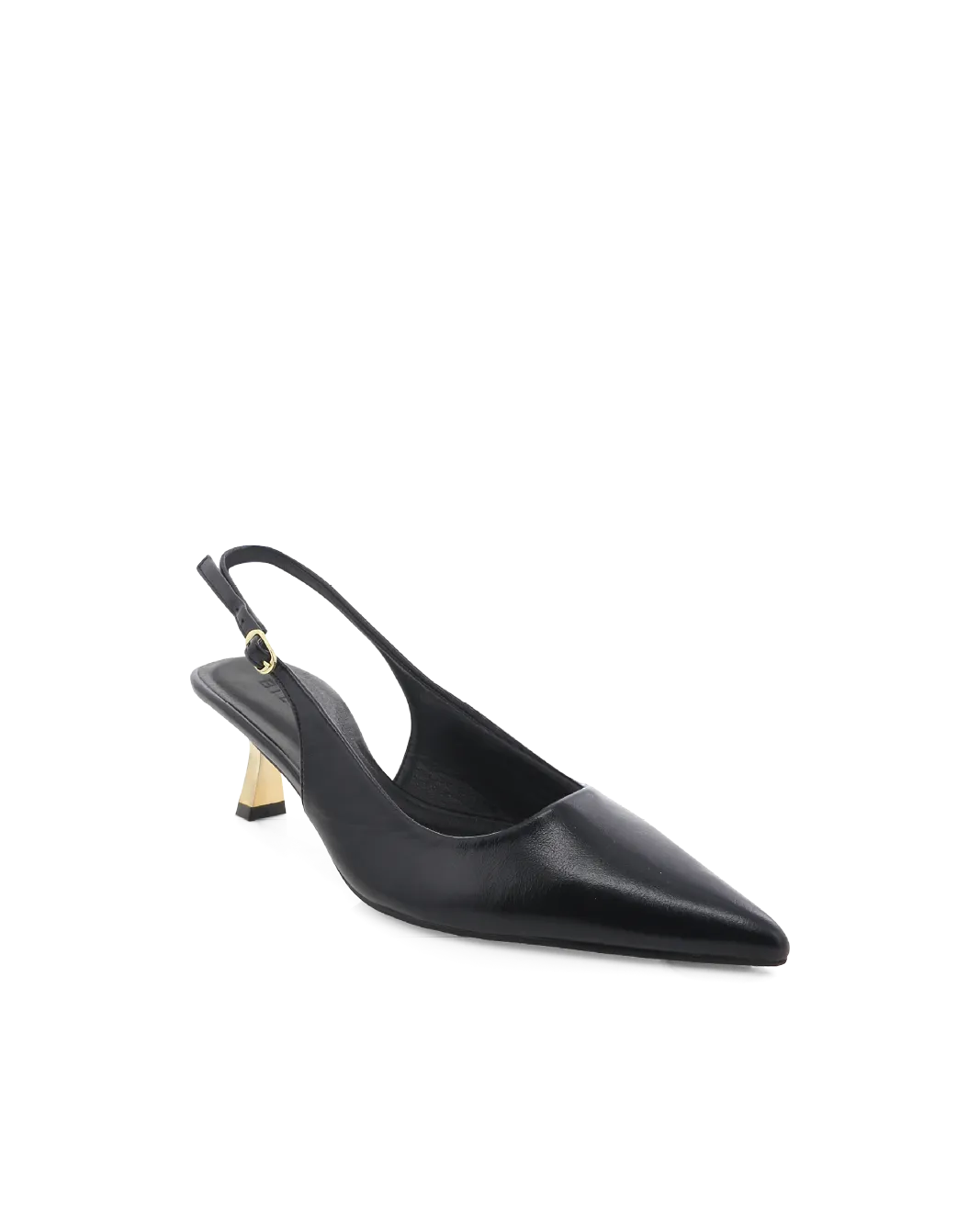 ANAYA - BLACK SHINE-GOLD Cool Vibe