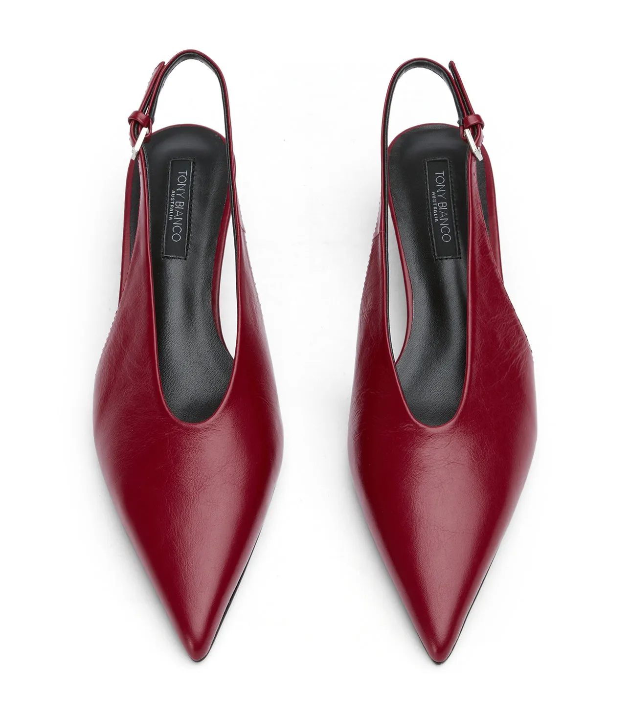 Cool Appeal Charlie Berry Venice