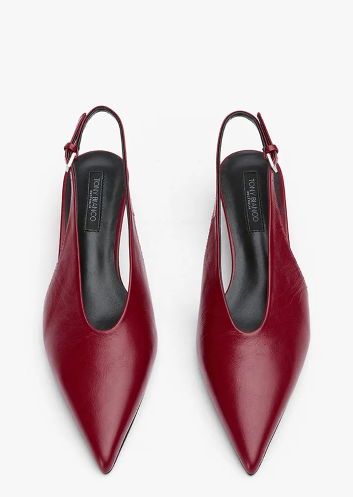 Pointed Heels Charlie Berry Venice