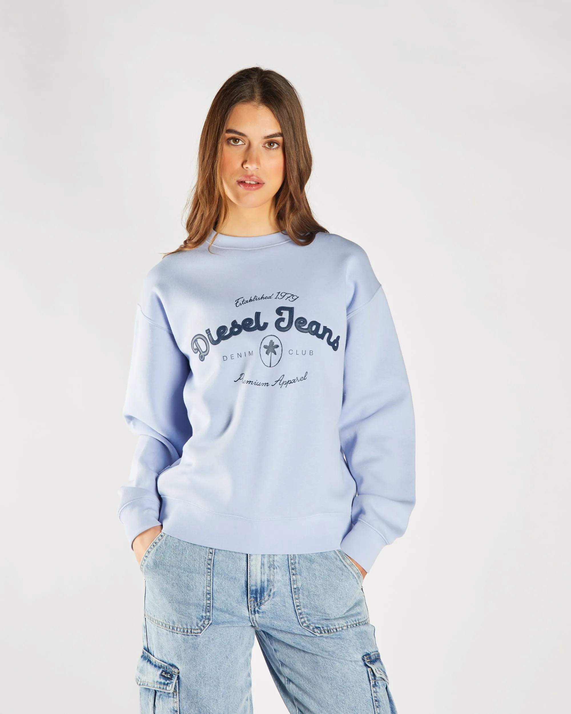 Flossy Sweatshirt Pale Periwinkle good for gym sessions